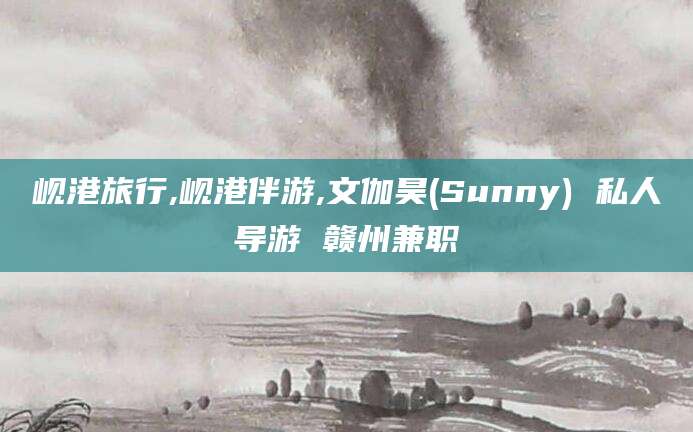 渠县岘港旅行,岘港伴游,文伽昊(Sunny) 私人导游 赣州兼职